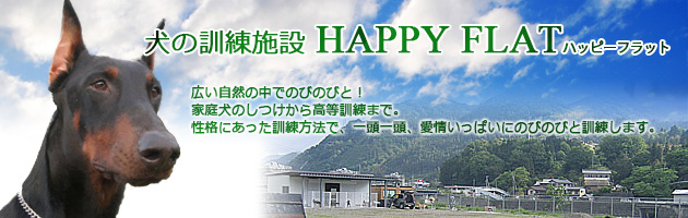 happyflat