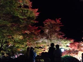 温泉寺紅葉ライトアップ2012