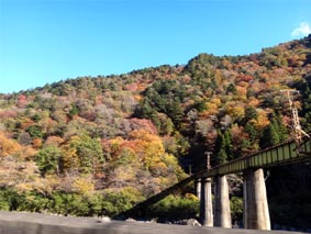 中山七里の紅葉