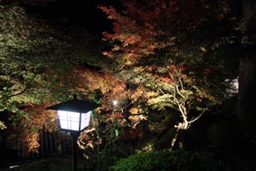 温泉寺ライトアップ2013