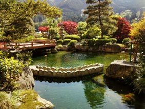 5月初旬晴れた日の庭園