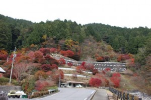 夕森公園